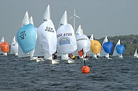 Krombach 2006